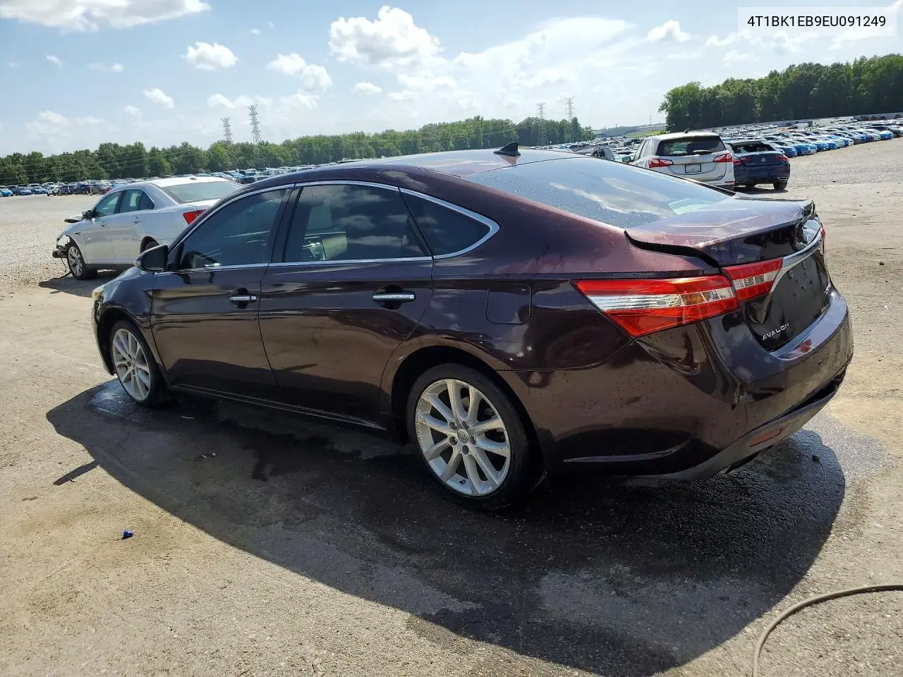 2014 Toyota Avalon Limited VIN: 4T1BK1EB9EU091249 Lot: 61203236