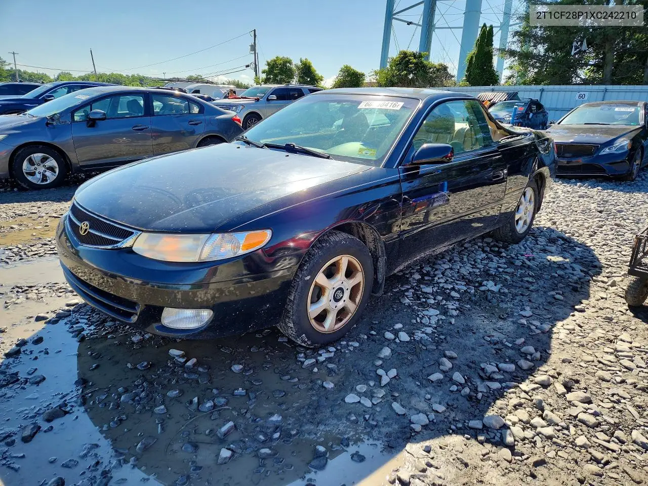 1999 Toyota Camry Solara Sle V6 VIN: 2T1CF28P1XC242210 Lot: 60268416