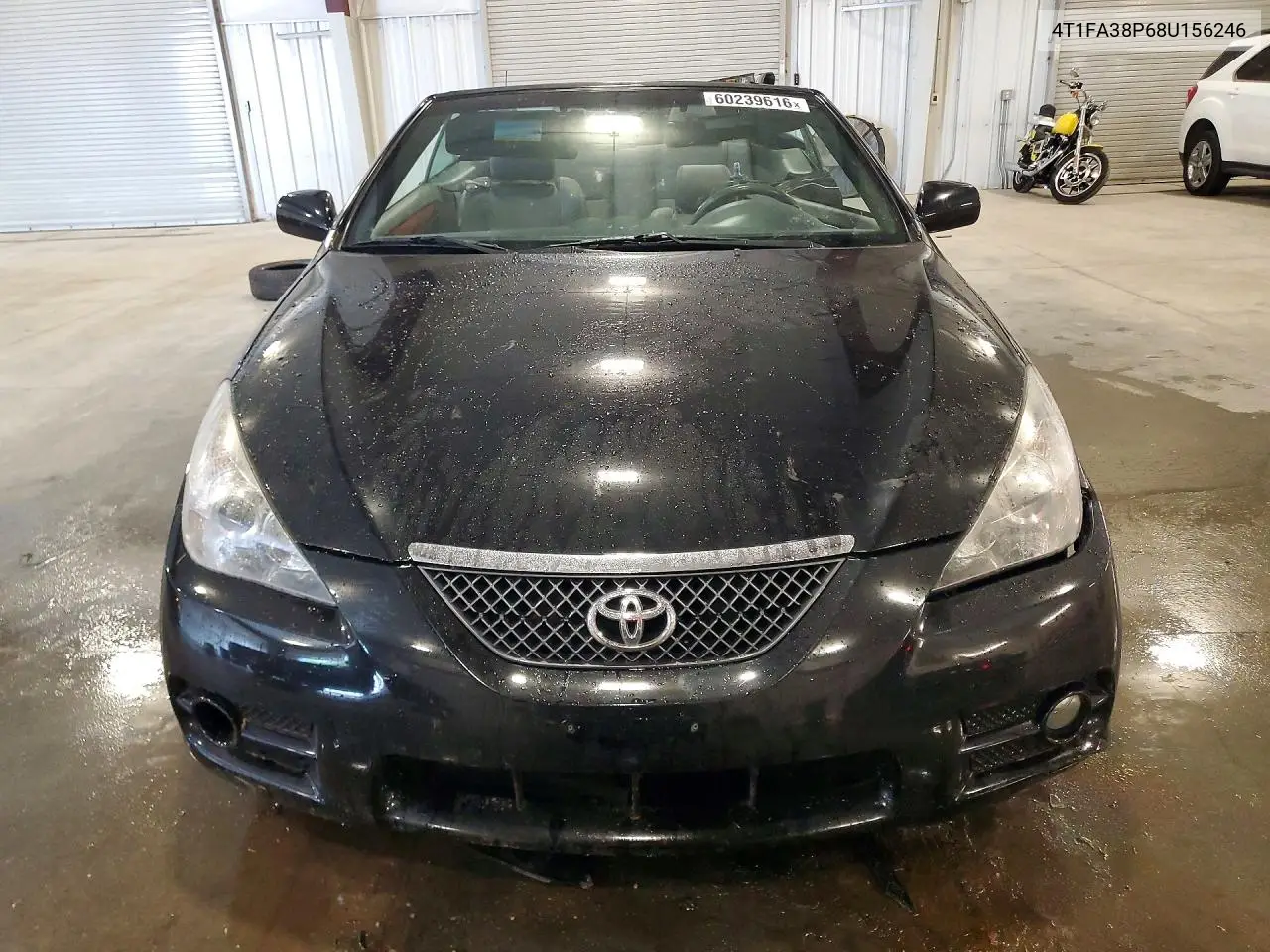 2008 Toyota Camry Solara Sle V6 VIN: 4T1FA38P68U156246 Lot: 60239616