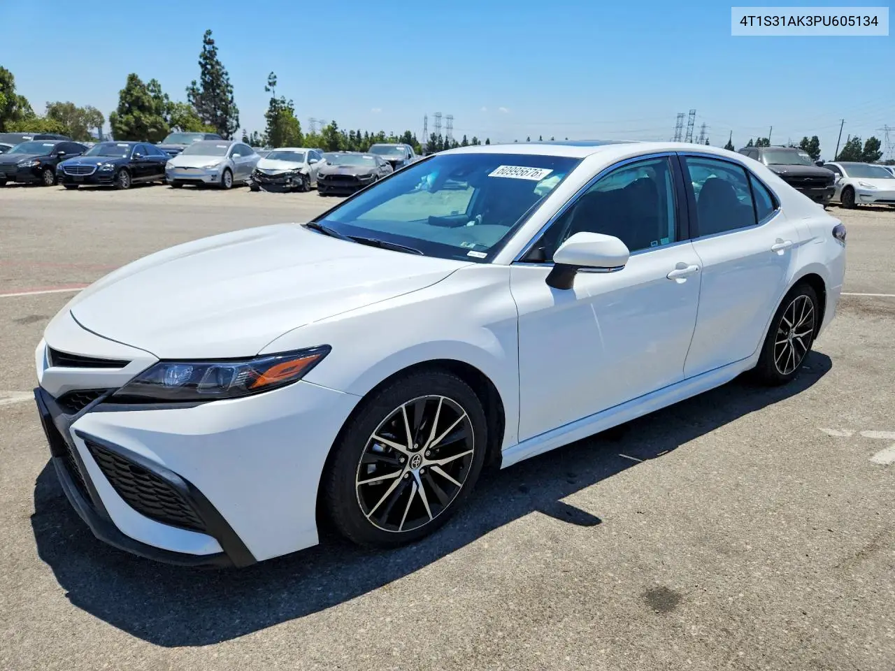 2023 Toyota Camry Hybrid Se VIN: 4T1S31AK3PU605134 Lot: 60995676