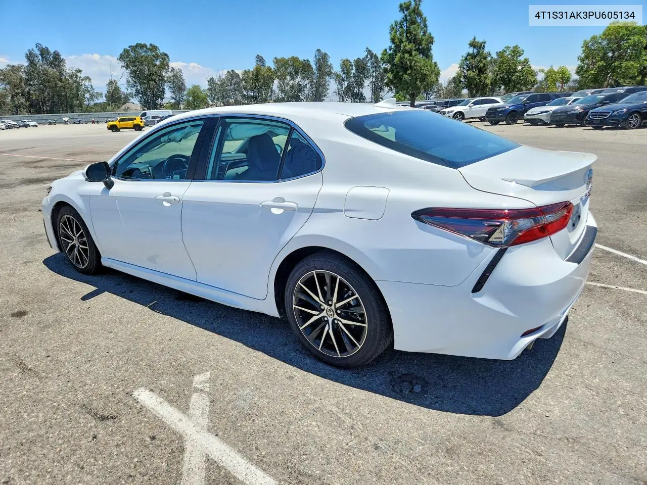 2023 Toyota Camry Hybrid Se VIN: 4T1S31AK3PU605134 Lot: 60995676