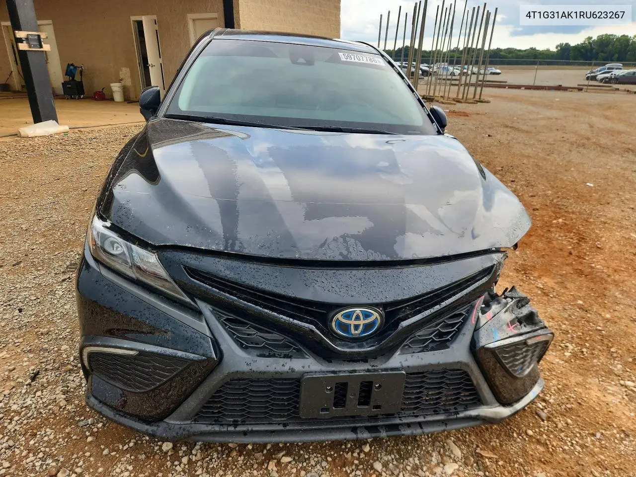 2024 Toyota Camry Hybrid Se VIN: 4T1G31AK1RU623267 Lot: 59707786
