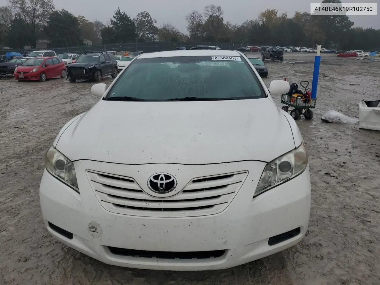 4T4BE46K19R102750 2009 Toyota Camry Base