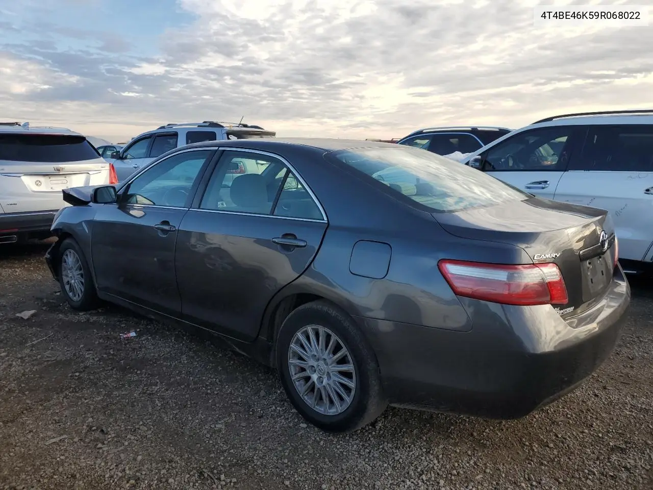4T4BE46K59R068022 2009 Toyota Camry Base