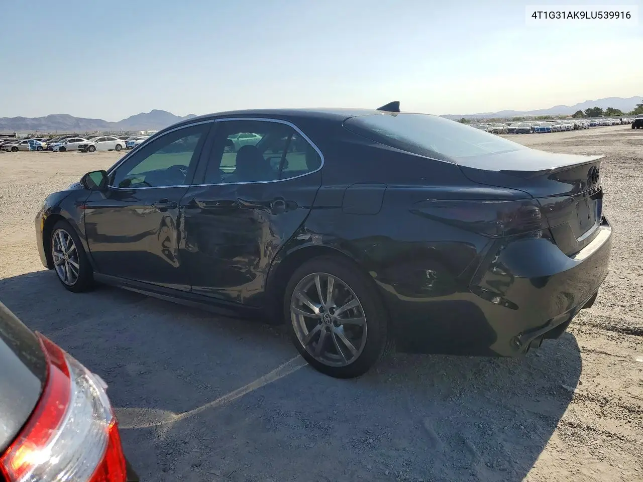 2020 Toyota Camry Se VIN: 4T1G31AK9LU539916 Lot: 61937576