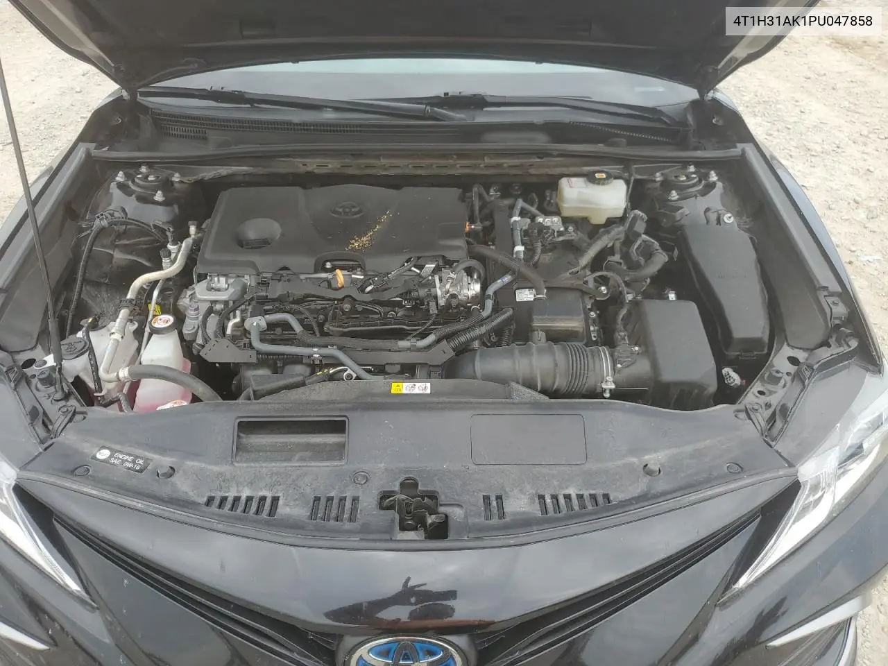4T1H31AK1PU047858 2023 Toyota Camry Le