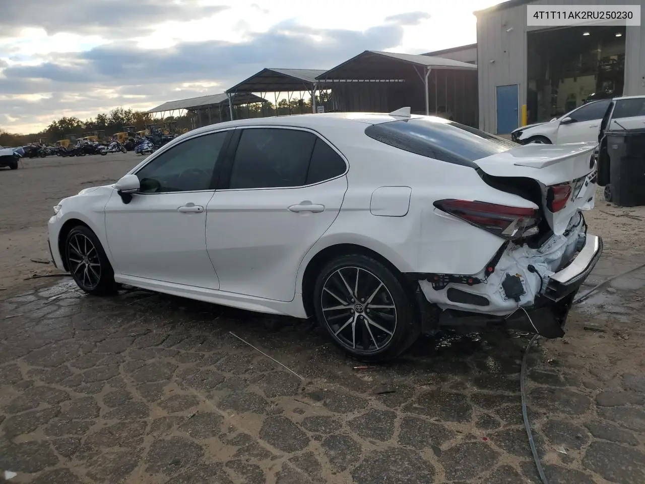 4T1T11AK2RU250230 2024 Toyota Camry Se