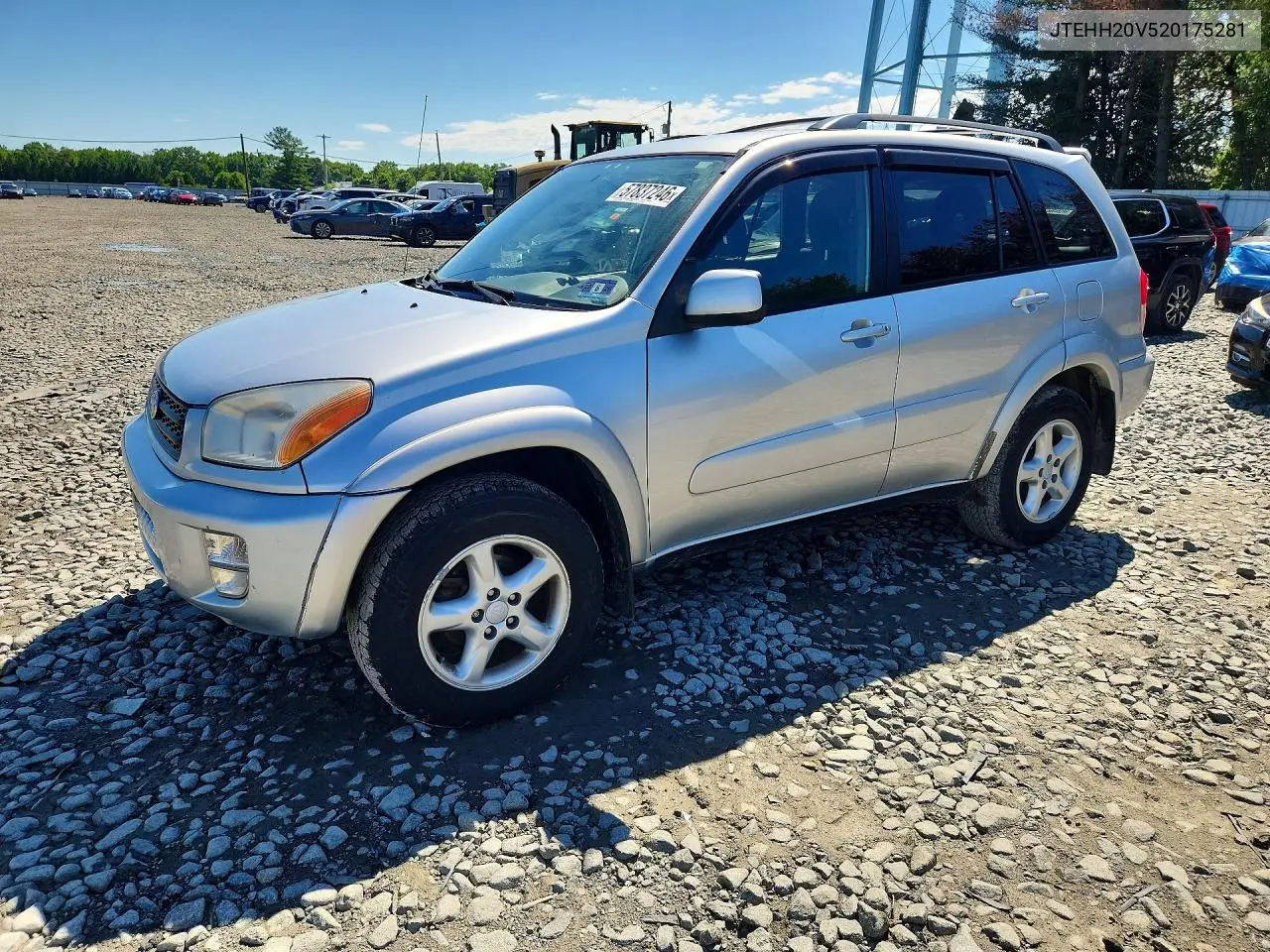 2002 Toyota Rav4 Base VIN: JTEHH20V520175281 Lot: 57837246