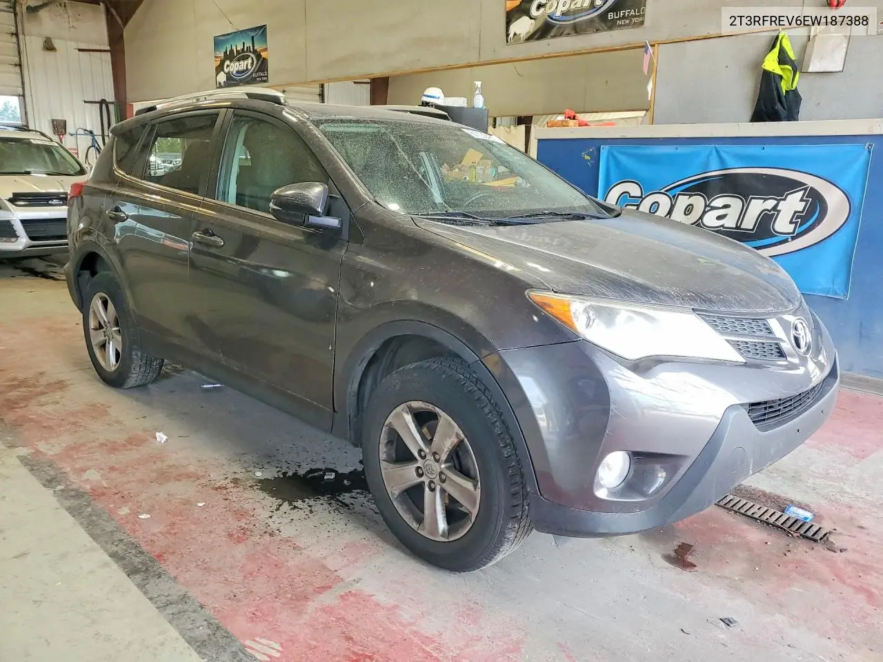 2014 Toyota Rav4 Xle VIN: 2T3RFREV6EW187388 Lot: 61130436