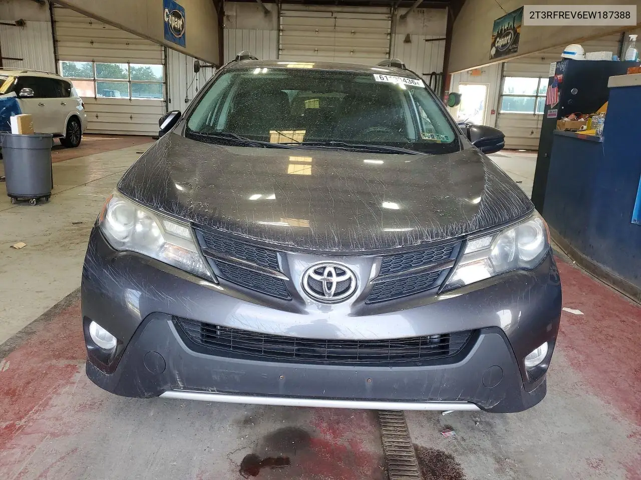 2014 Toyota Rav4 Xle VIN: 2T3RFREV6EW187388 Lot: 61130436