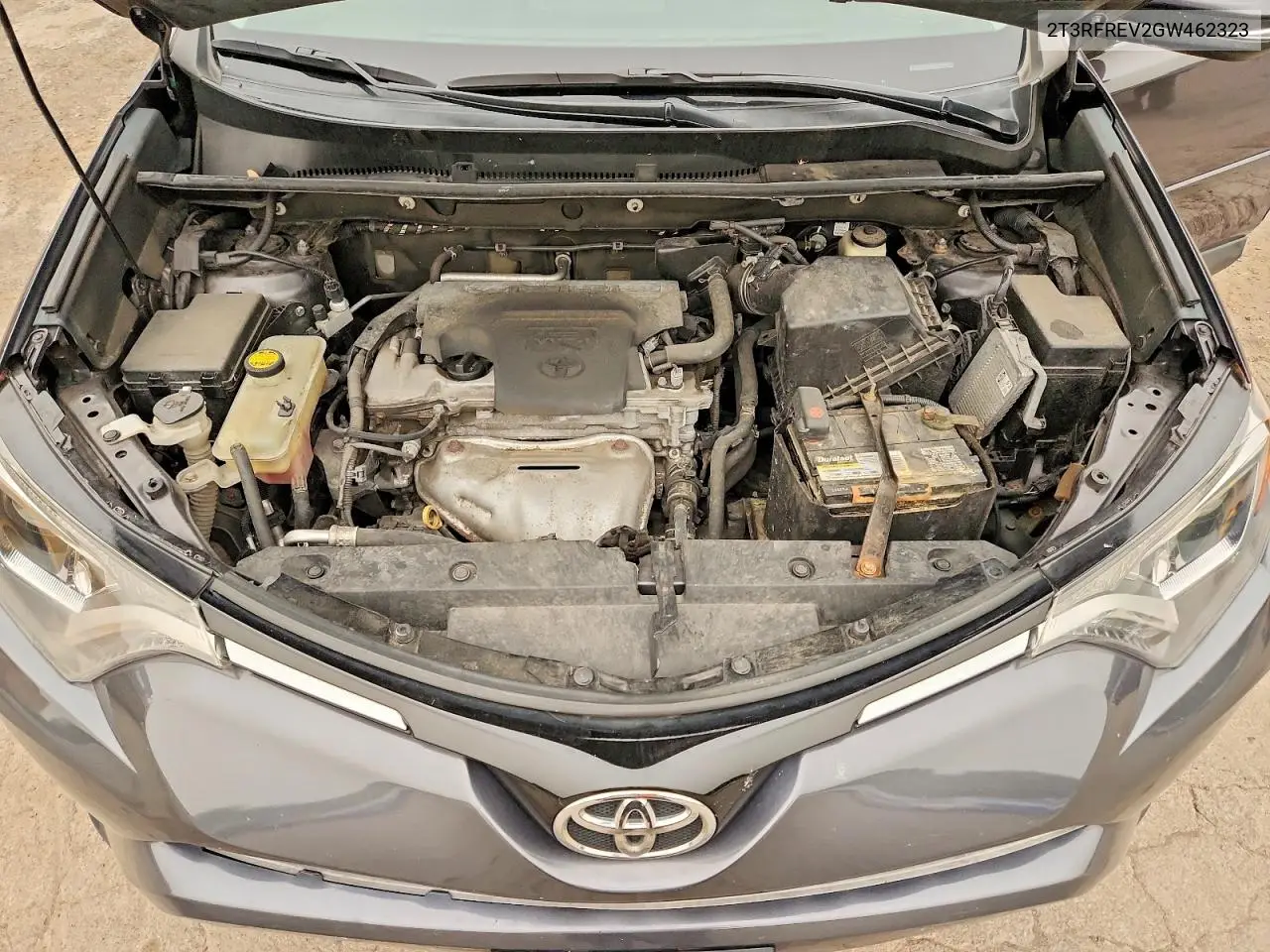 2016 Toyota Rav4 Xle VIN: 2T3RFREV2GW462323 Lot: 61133006