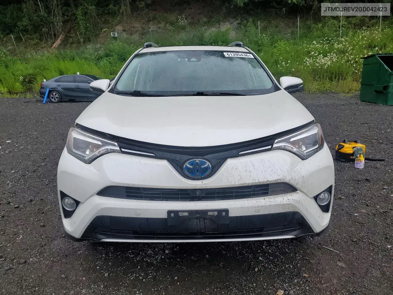 2016 Toyota Rav4 Hv Limited VIN: JTMDJREV2GD042423 Lot: 61395436