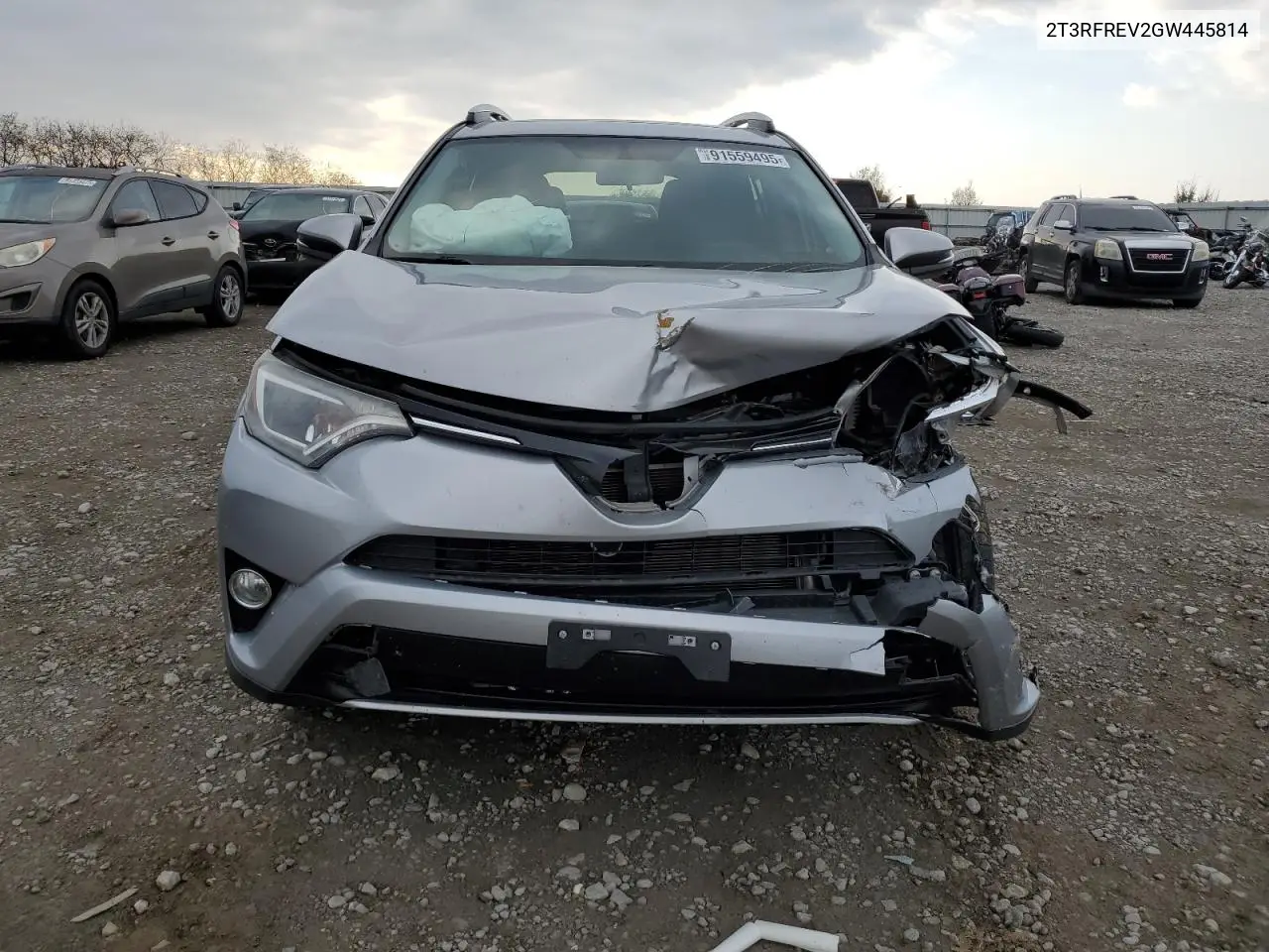 2T3RFREV2GW445814 2016 Toyota Rav4 Xle