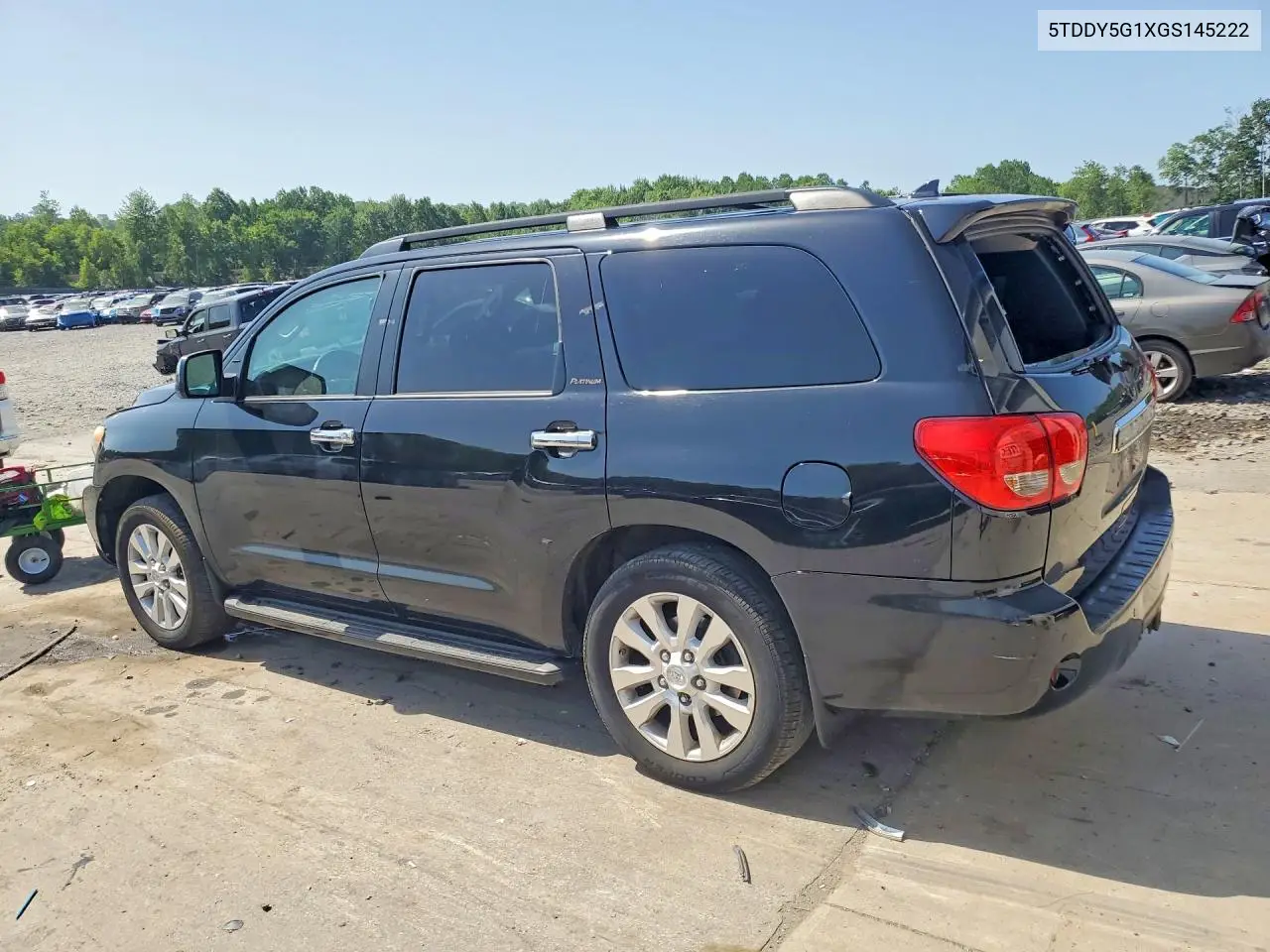 2016 Toyota Sequoia Platinum VIN: 5TDDY5G1XGS145222 Lot: 59129606