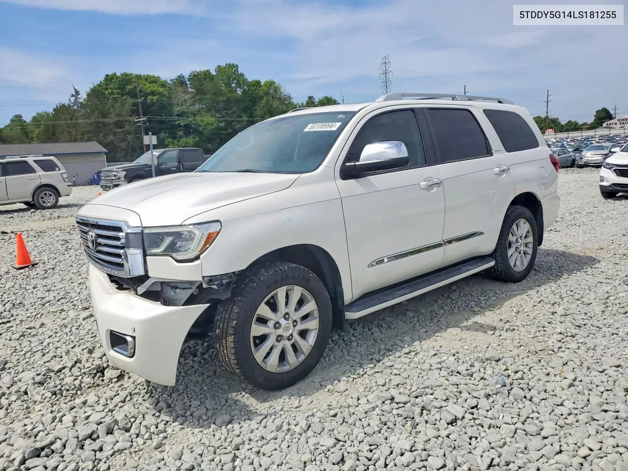 2020 Toyota Sequoia Platinum VIN: 5TDDY5G14LS181255 Lot: 58108996