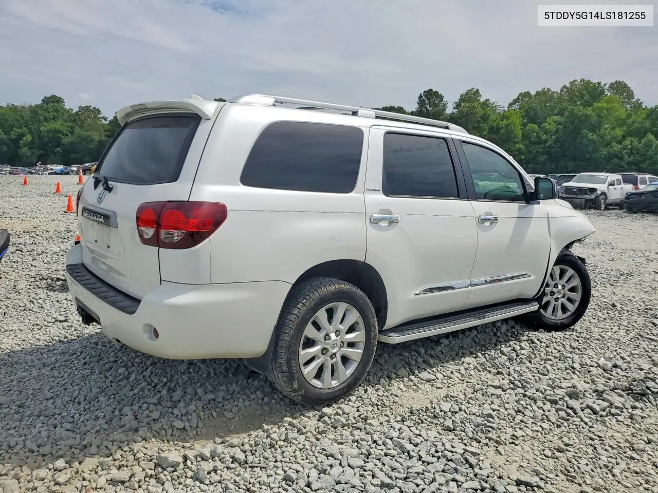 2020 Toyota Sequoia Platinum VIN: 5TDDY5G14LS181255 Lot: 58108996