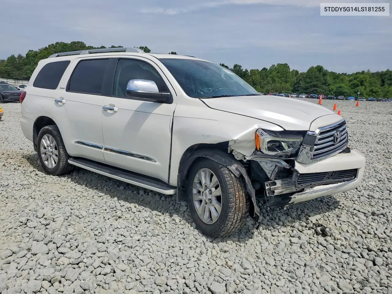 2020 Toyota Sequoia Platinum VIN: 5TDDY5G14LS181255 Lot: 58108996