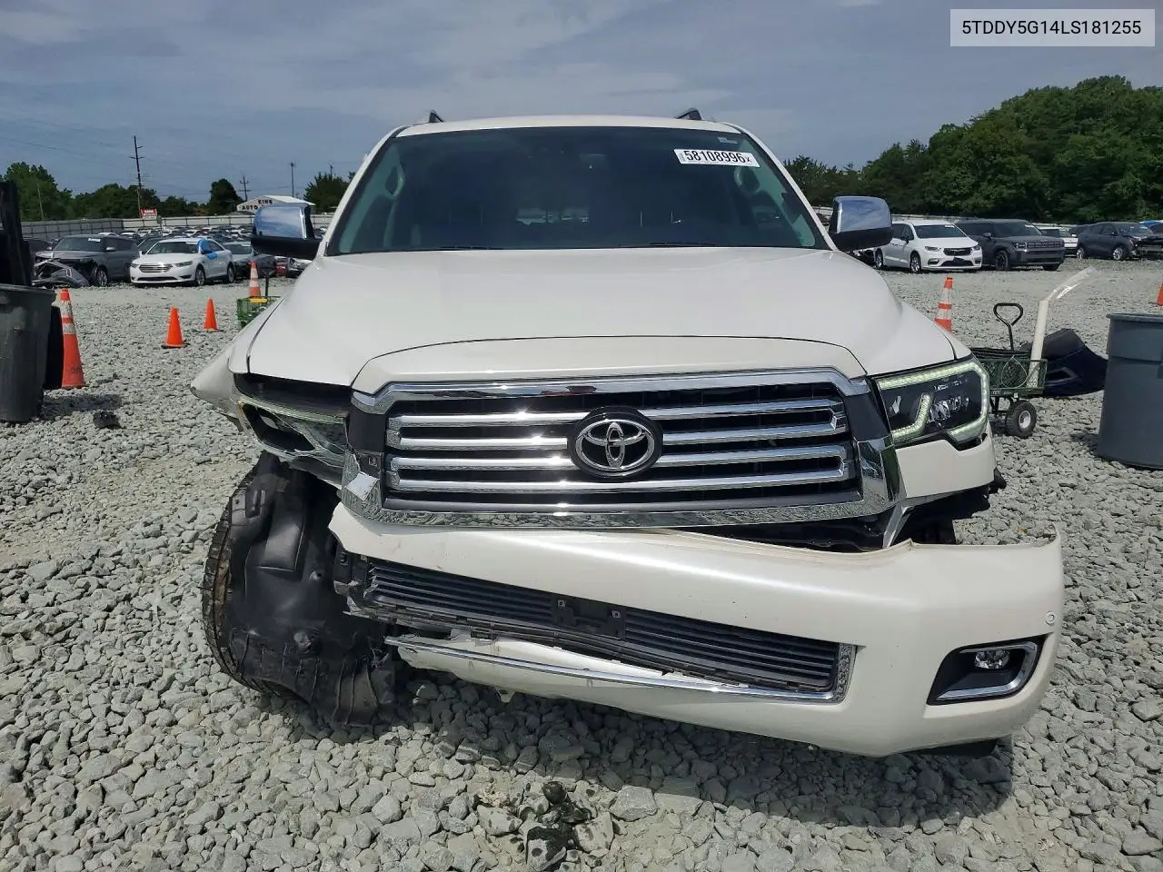 2020 Toyota Sequoia Platinum VIN: 5TDDY5G14LS181255 Lot: 58108996