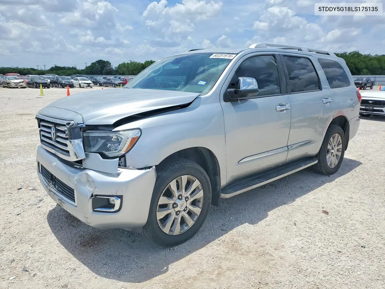 2020 Toyota Sequoia Platinum VIN: 5TDDY5G18LS175135 Lot: 60251976