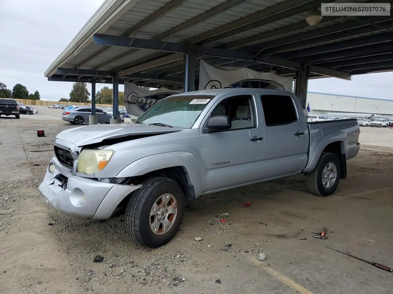 2005 Toyota Tacoma Double Cab VIN: 5TELU42N65Z037076 Lot: 57583826