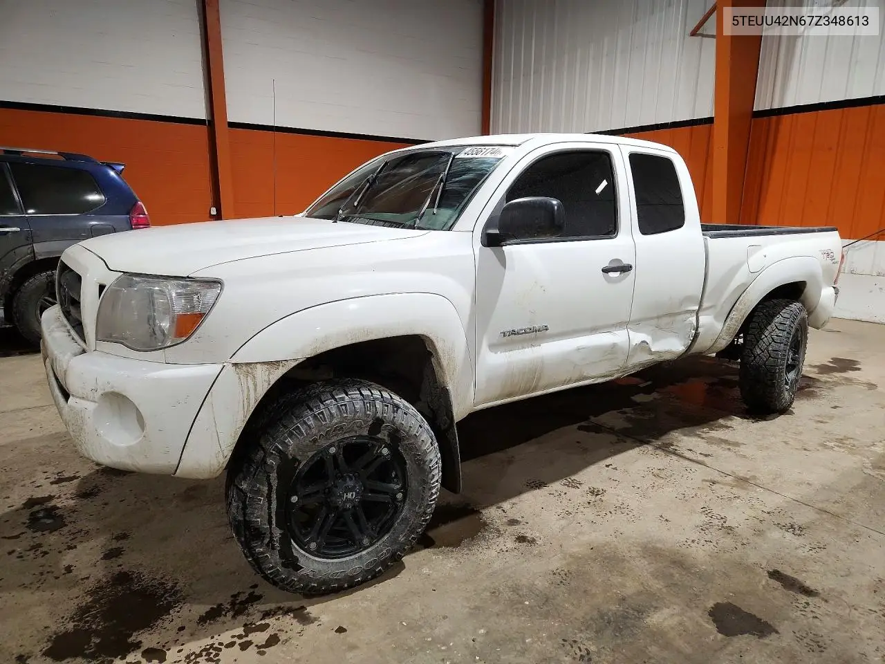 2007 Toyota Tacoma V6 VIN: 5TEUU42N67Z348613 Lot: 45561746