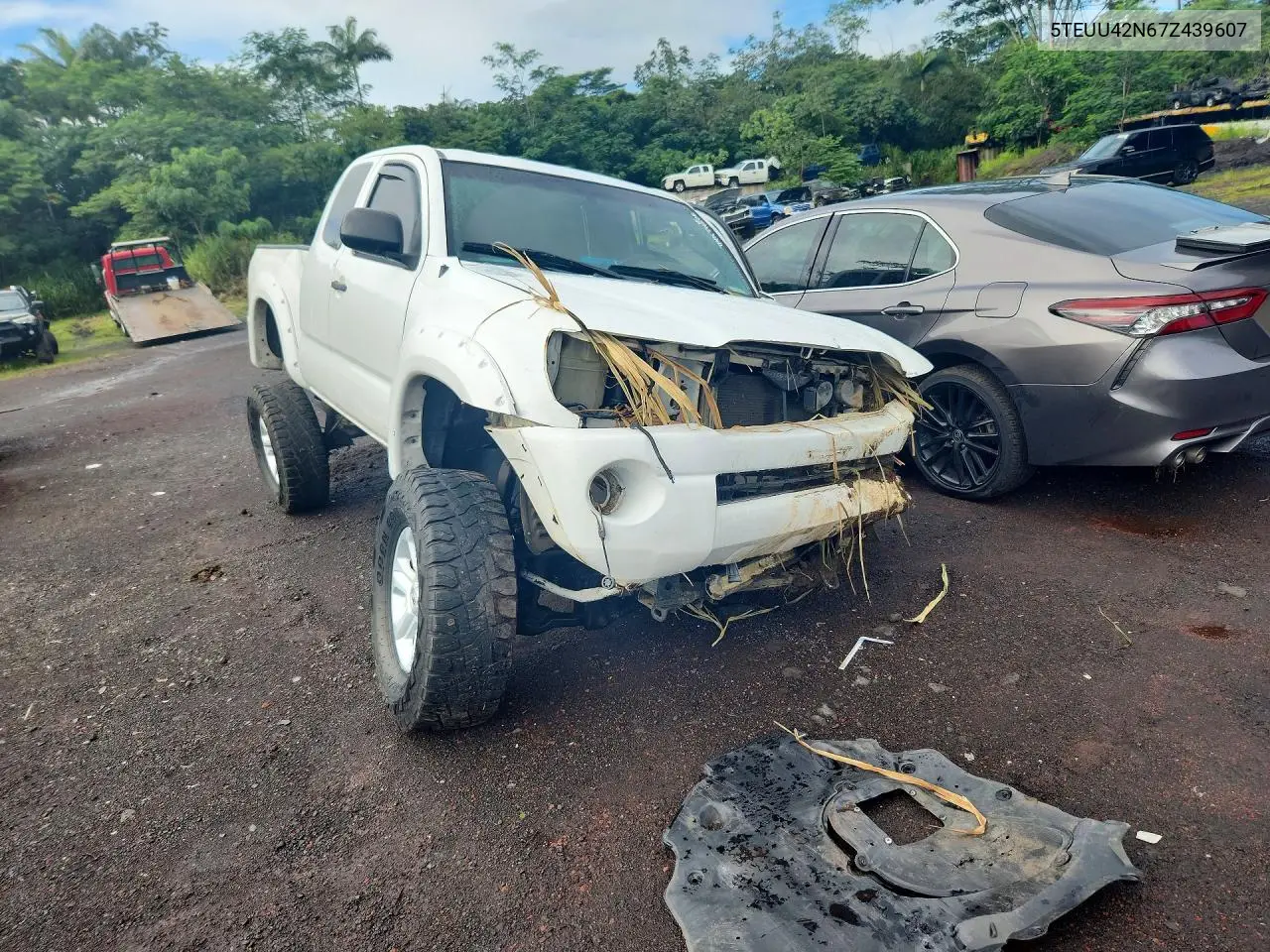 2007 Toyota Tacoma Access Cab VIN: 5TEUU42N67Z439607 Lot: 60893406