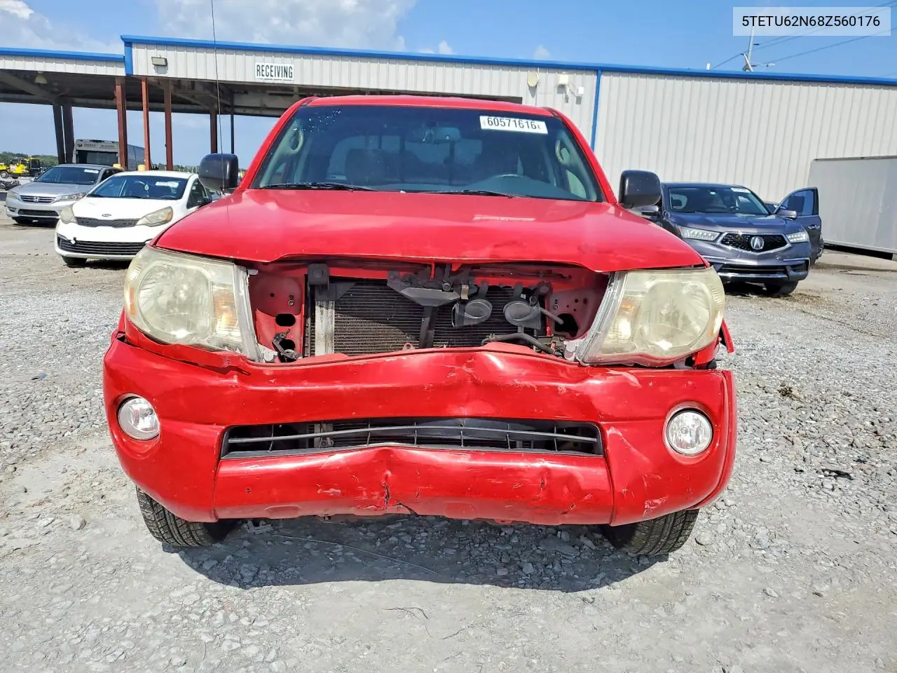 2008 Toyota Tacoma Prerunner Access Cab VIN: 5TETU62N68Z560176 Lot: 60571616