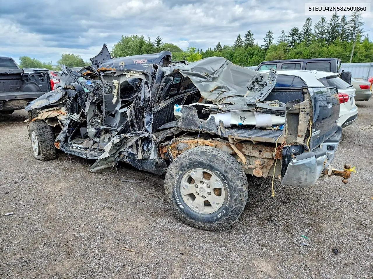 2008 Toyota Tacoma Access Cab VIN: 5TEUU42N58Z509860 Lot: 61397606