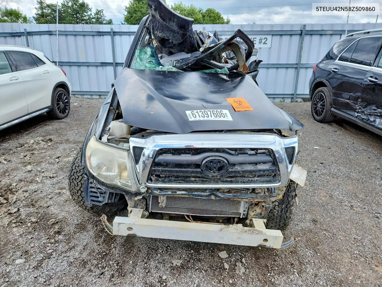 2008 Toyota Tacoma Access Cab VIN: 5TEUU42N58Z509860 Lot: 61397606