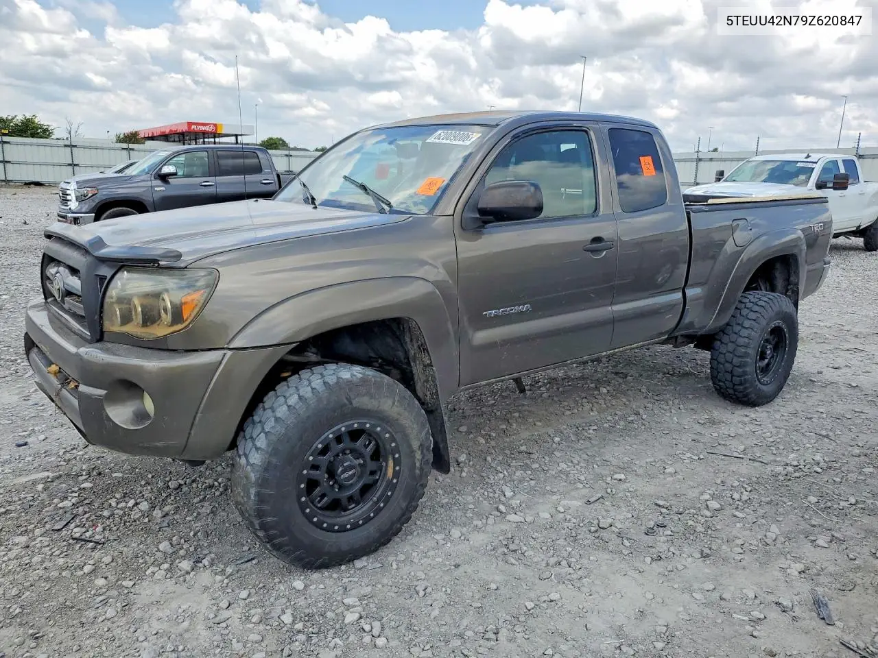 2009 Toyota Tacoma V6 VIN: 5TEUU42N79Z620847 Lot: 62009006