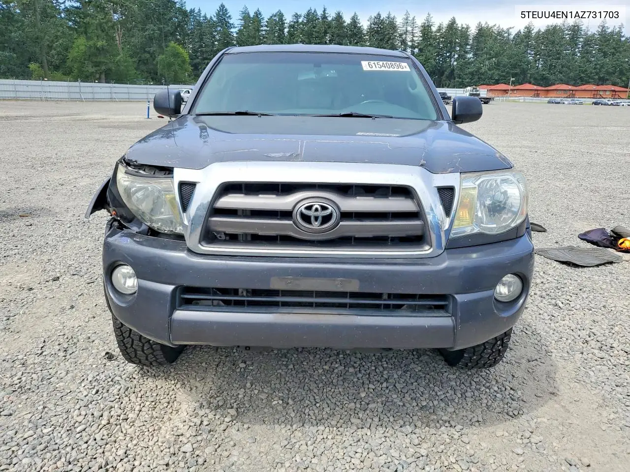 2010 Toyota Tacoma Access Cab VIN: 5TEUU4EN1AZ731703 Lot: 61540896