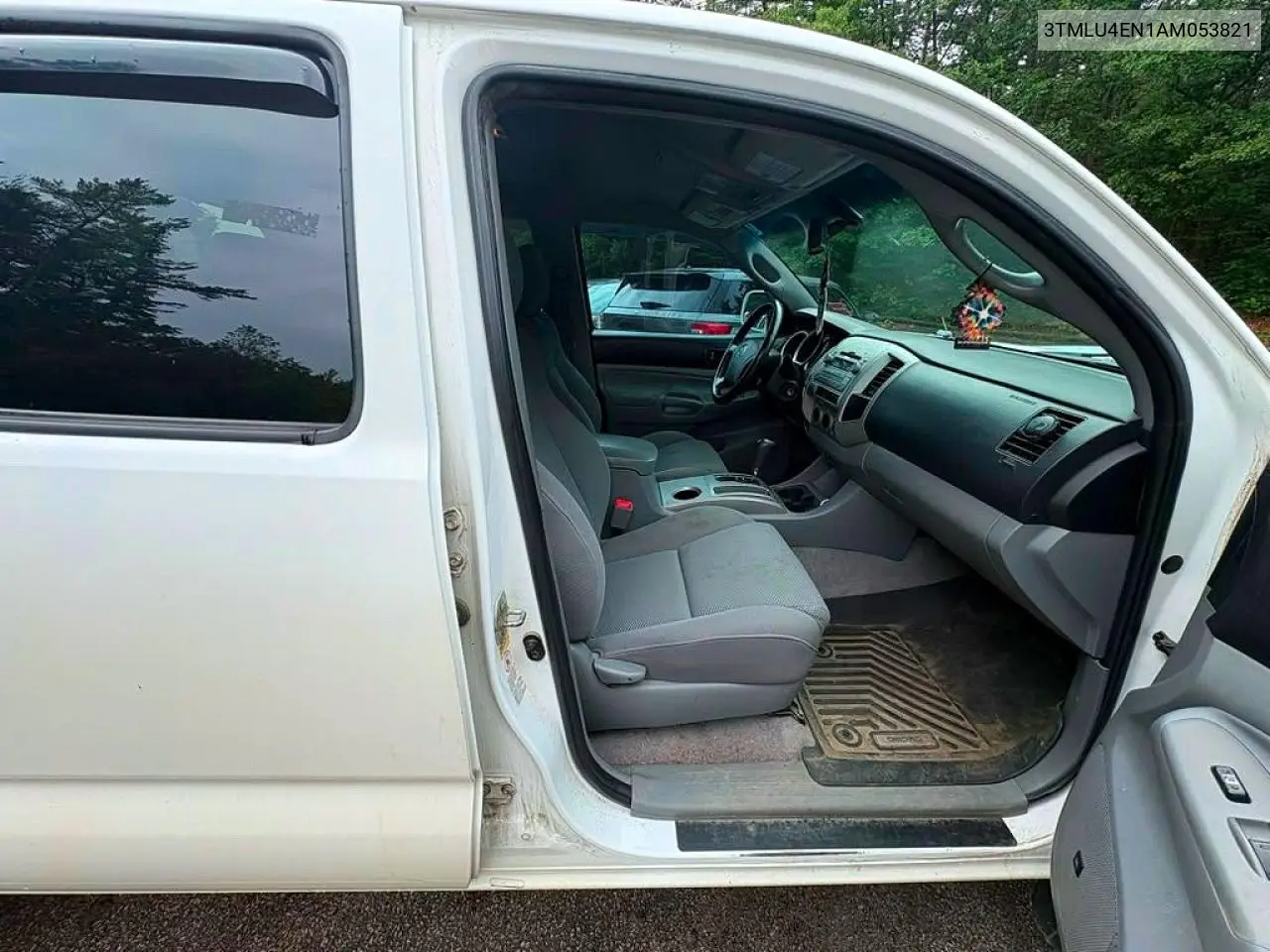 2010 Toyota Tacoma V6 VIN: 3TMLU4EN1AM053821 Lot: 62485496