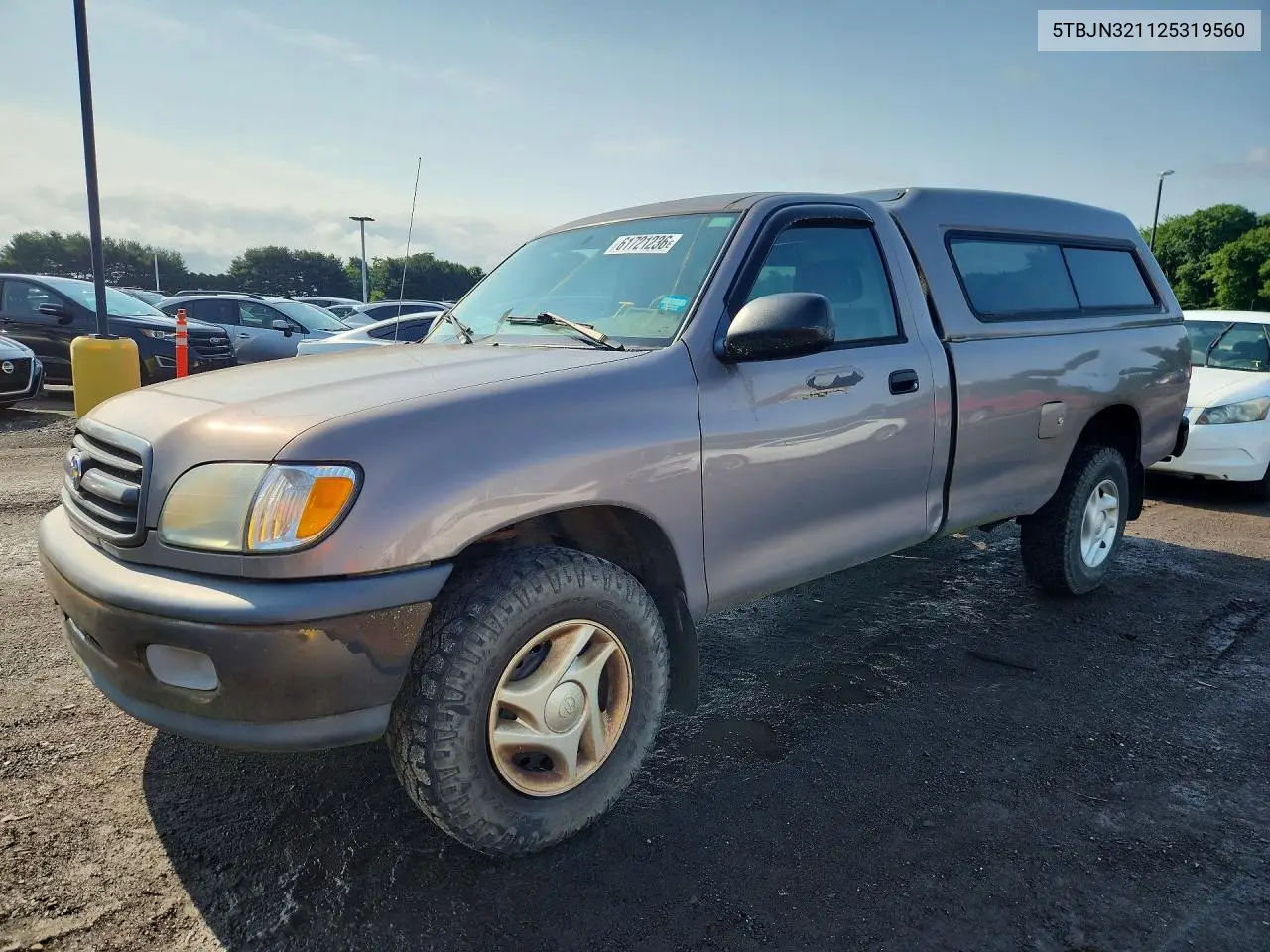 2002 Toyota Tundra Dx VIN: 5TBJN321125319560 Lot: 61721236