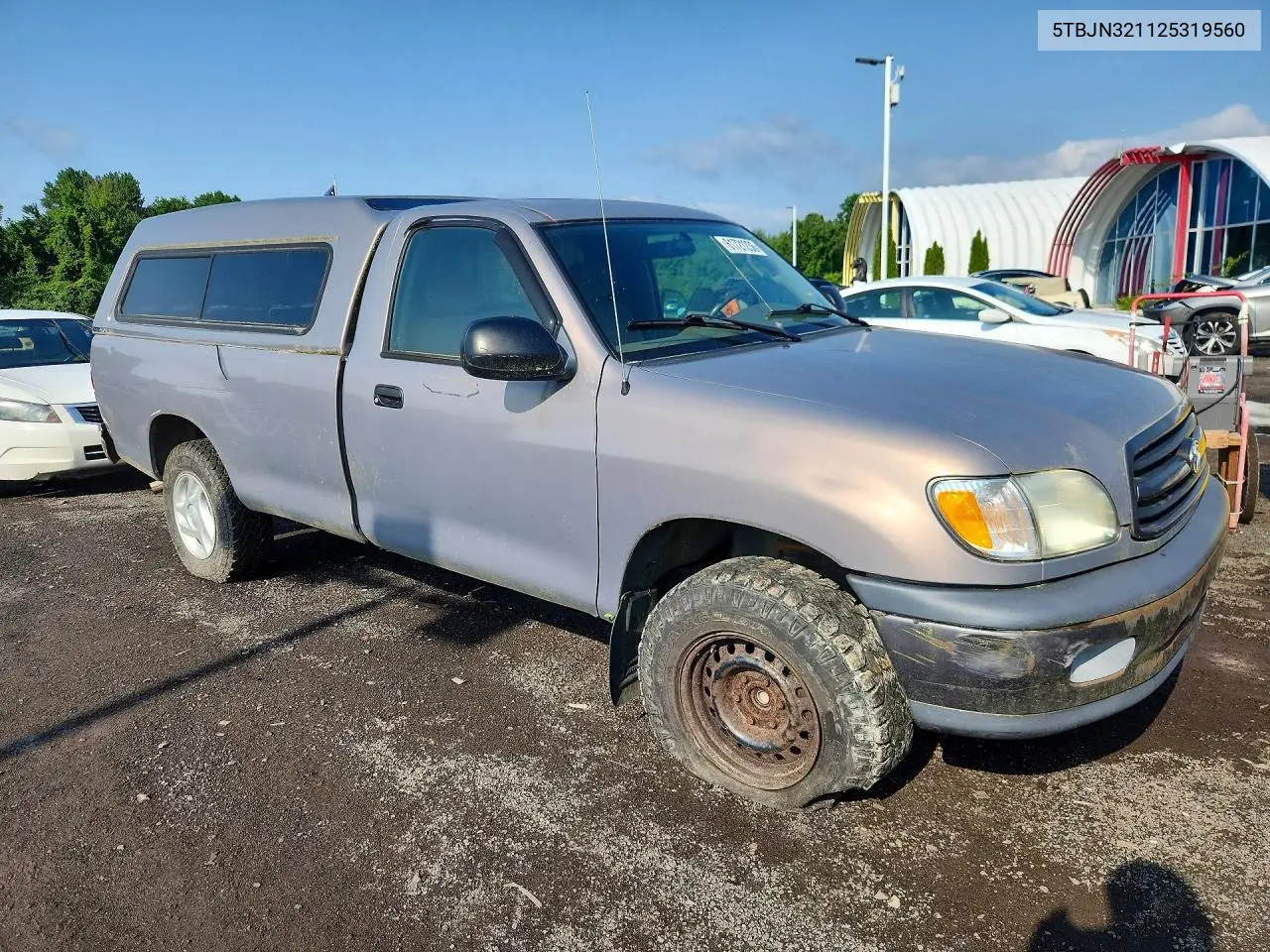 2002 Toyota Tundra Dx VIN: 5TBJN321125319560 Lot: 61721236