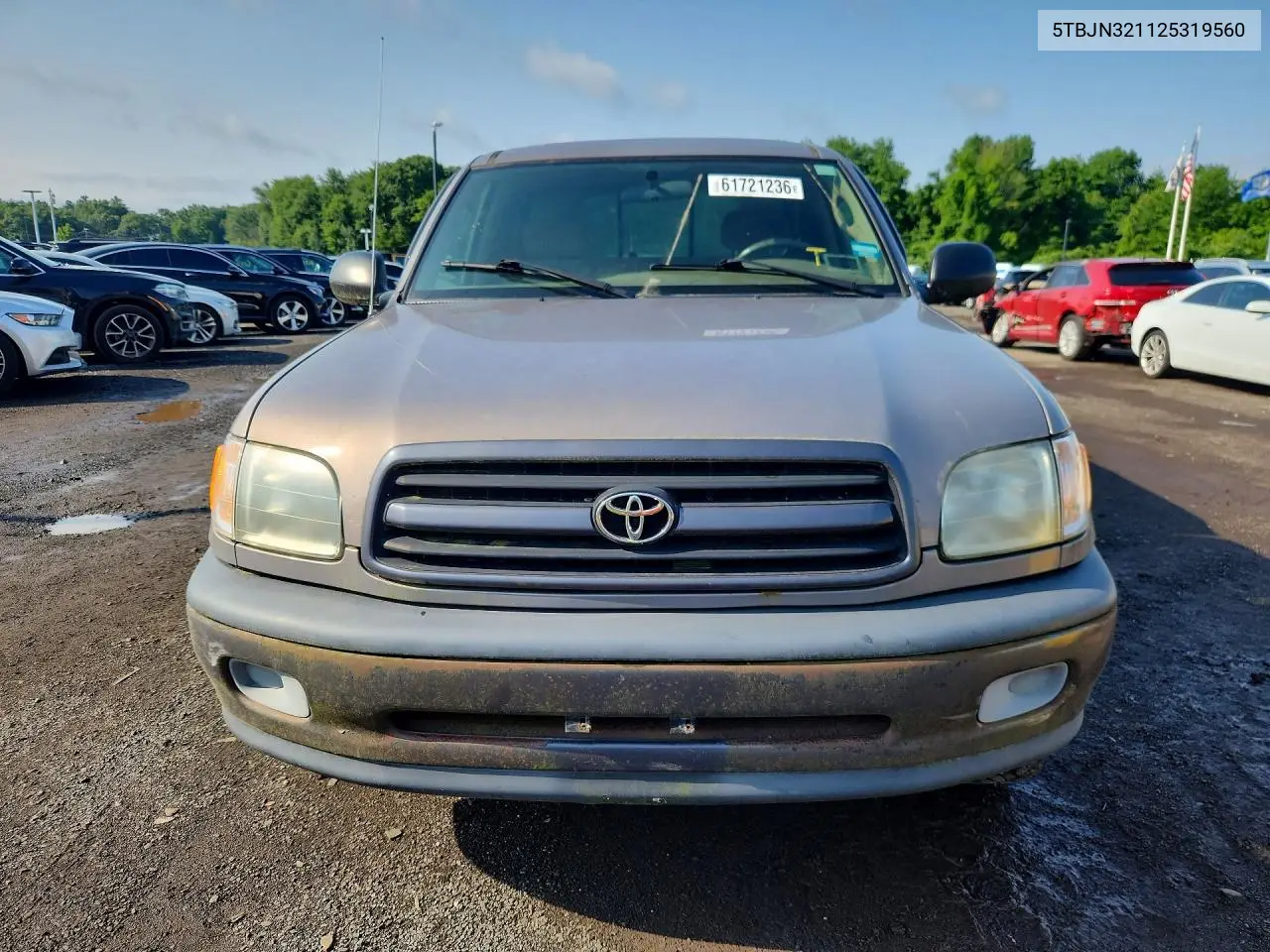 2002 Toyota Tundra Dx VIN: 5TBJN321125319560 Lot: 61721236