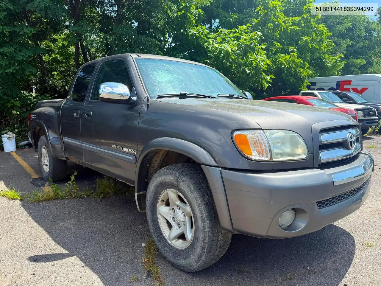 2003 Toyota Tundra Sr5 VIN: 5TBBT44183S394299 Lot: 62114726