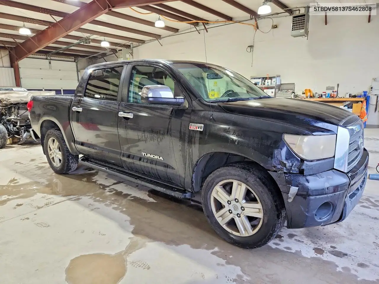 2007 Toyota Tundra Limited VIN: 5TBDV58137S462808 Lot: 61997536