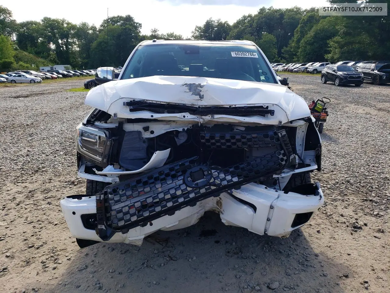2018 Toyota Tundra Platinum VIN: 5TFAY5F10JX712009 Lot: 60392786