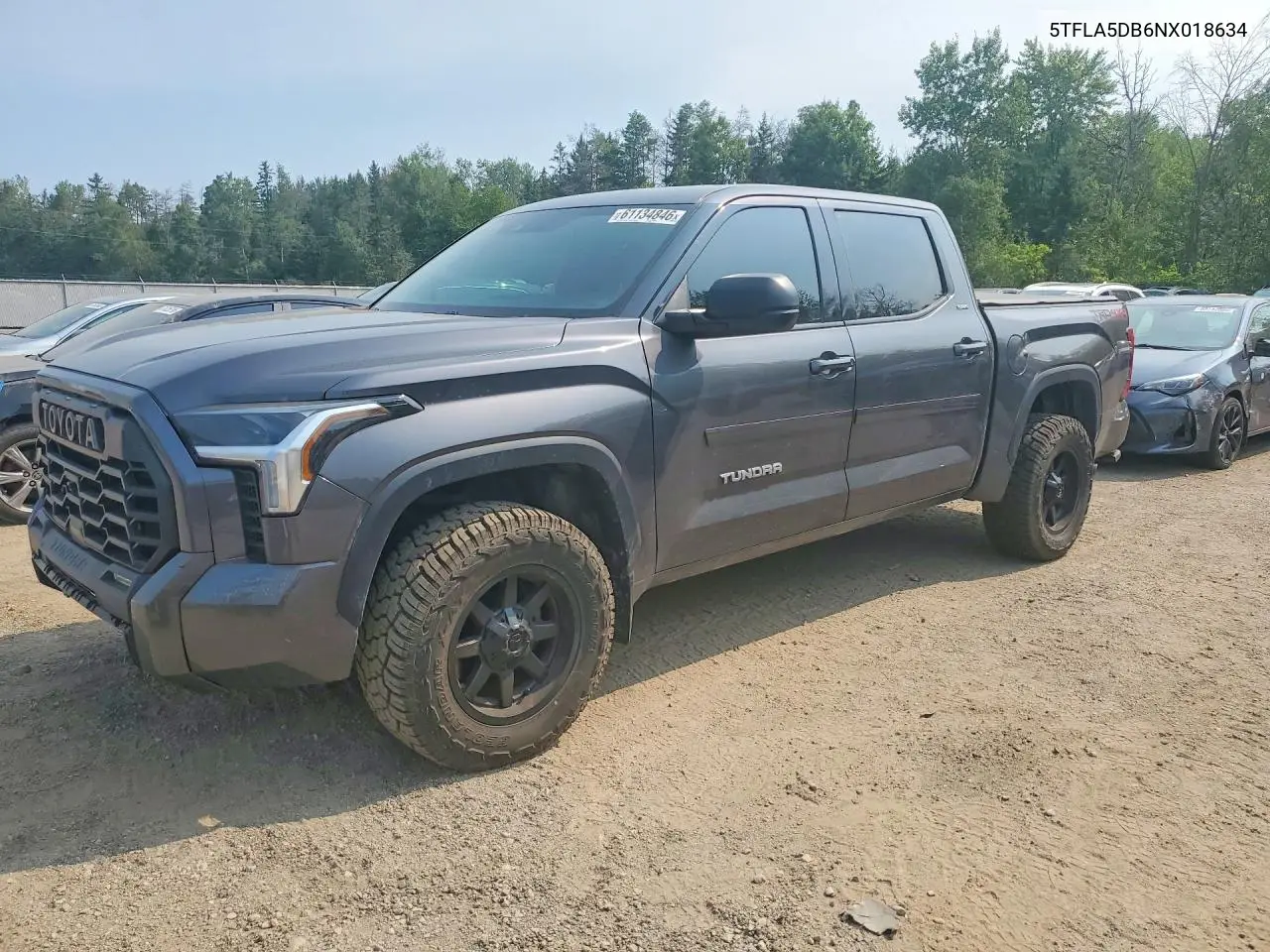 2022 Toyota Tundra Sr5 VIN: 5TFLA5DB6NX018634 Lot: 61134846