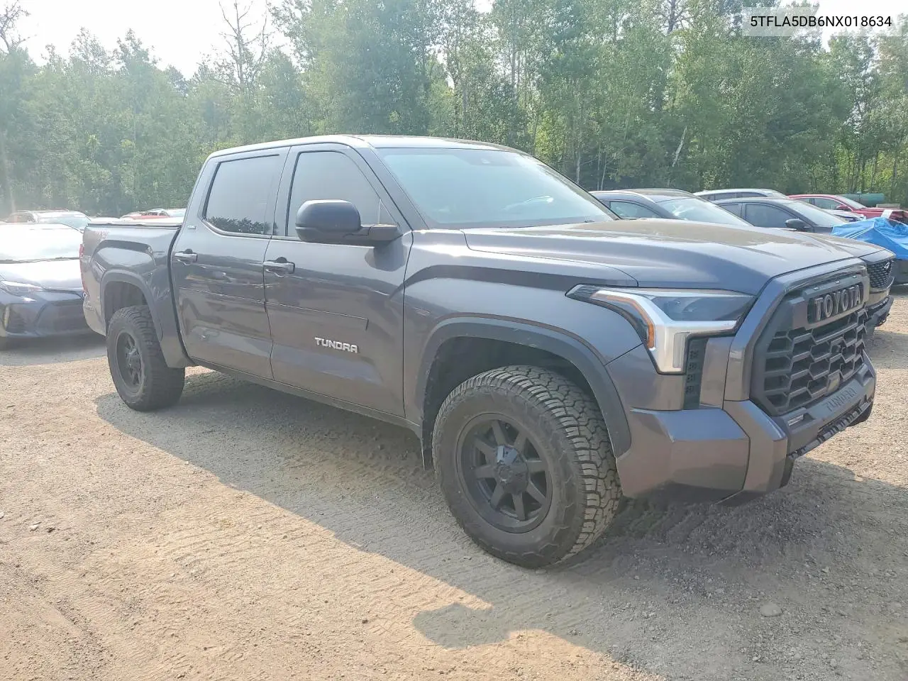2022 Toyota Tundra Sr5 VIN: 5TFLA5DB6NX018634 Lot: 61134846