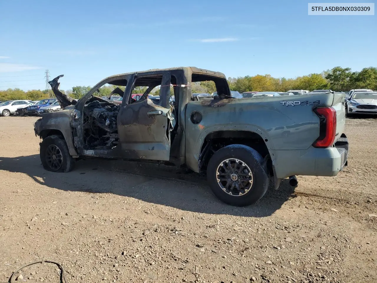 2022 Toyota Tundra Sr5 VIN: 5TFLA5DB0NX030309 Lot: 87020665