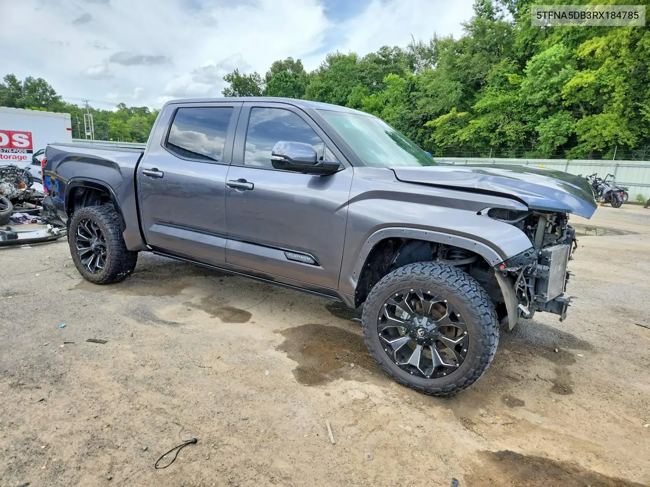 2024 Toyota Tundra Platinum VIN: 5TFNA5DB3RX184785 Lot: 61591406