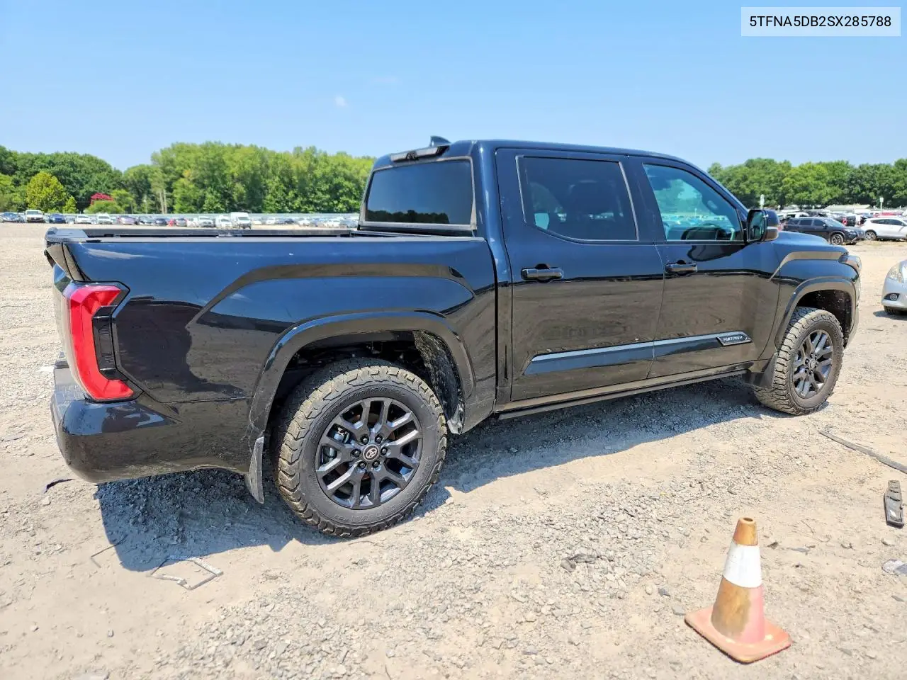 2025 Toyota Tundra Platinum VIN: 5TFNA5DB2SX285788 Lot: 62048426