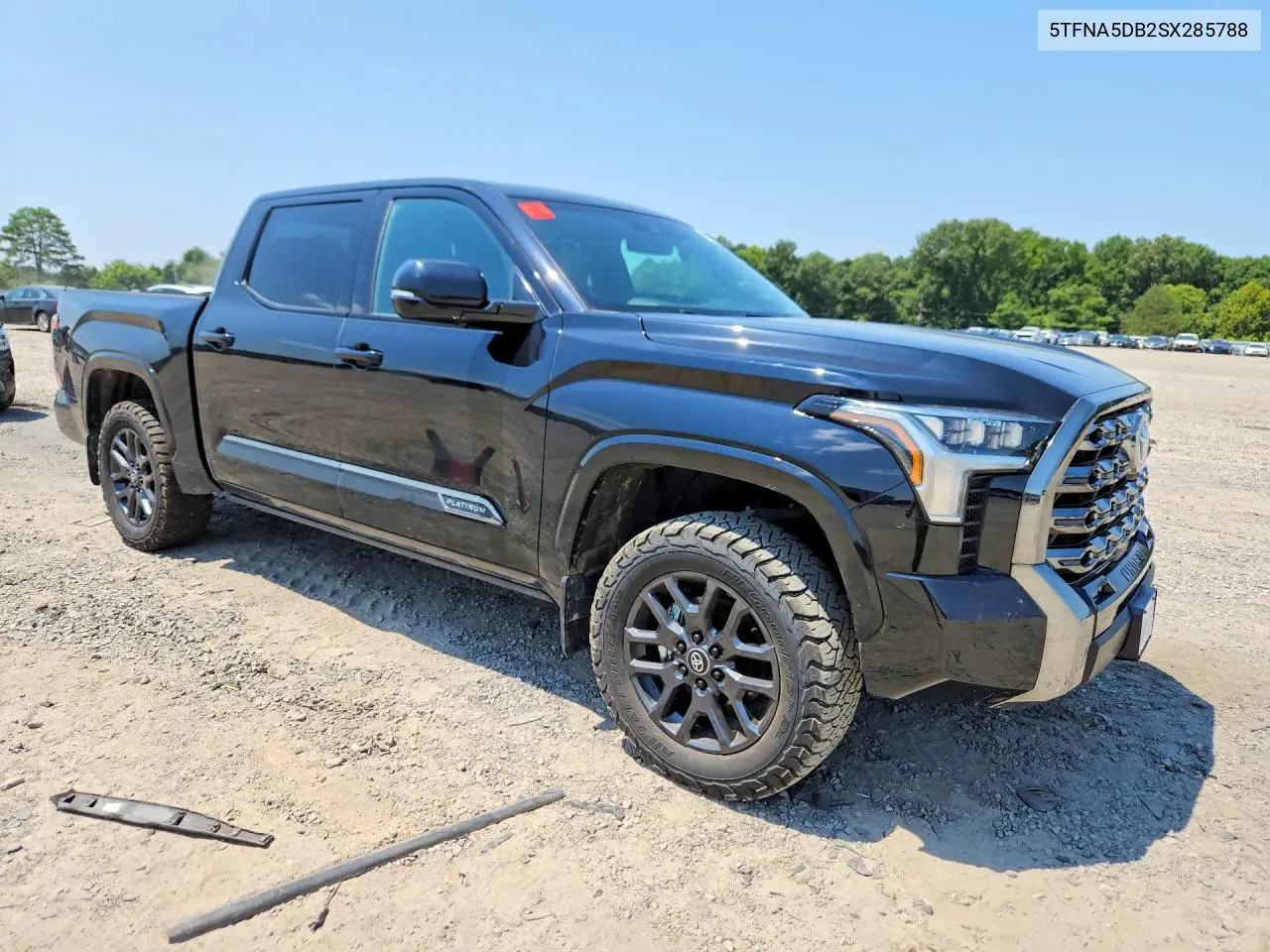 2025 Toyota Tundra Platinum VIN: 5TFNA5DB2SX285788 Lot: 62048426