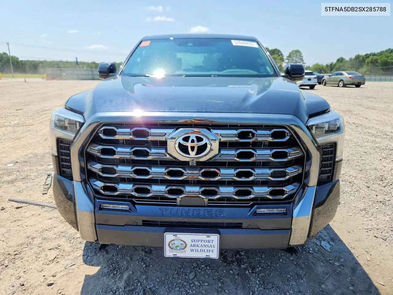 2025 Toyota Tundra Platinum VIN: 5TFNA5DB2SX285788 Lot: 62048426