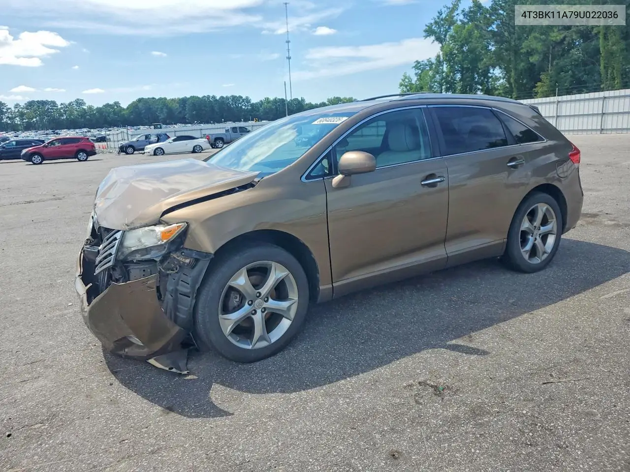 2009 Toyota Venza Awd V6 VIN: 4T3BK11A79U022036 Lot: 60840326
