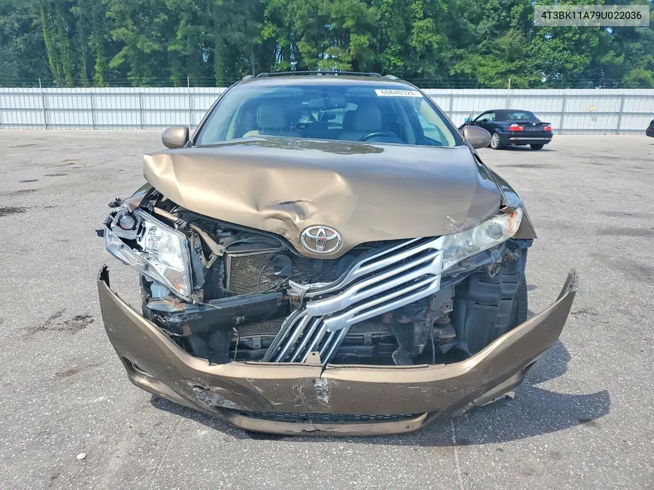 2009 Toyota Venza Awd V6 VIN: 4T3BK11A79U022036 Lot: 60840326