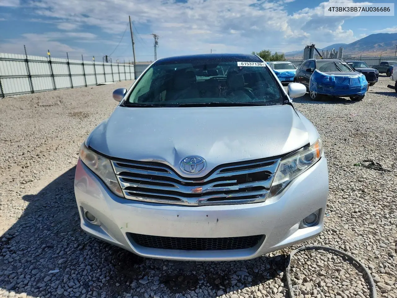 2010 Toyota Venza Awd V6 VIN: 4T3BK3BB7AU036686 Lot: 61537136