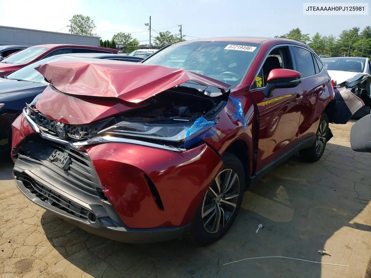 2023 Toyota Venza Le VIN: JTEAAAAH0PJ125981 Lot: 57219496
