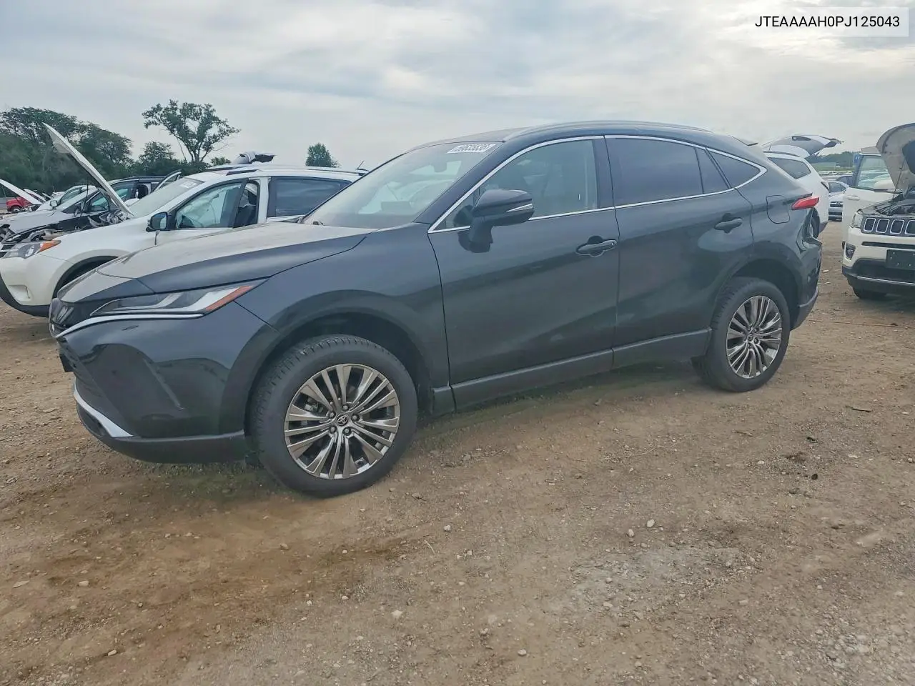 2023 Toyota Venza Xle VIN: JTEAAAAH0PJ125043 Lot: 59635636